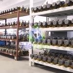 Pompa Dosing Milton Roy - GM0500