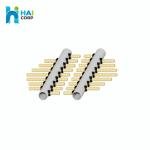 Nozzle Strainer Type SSR